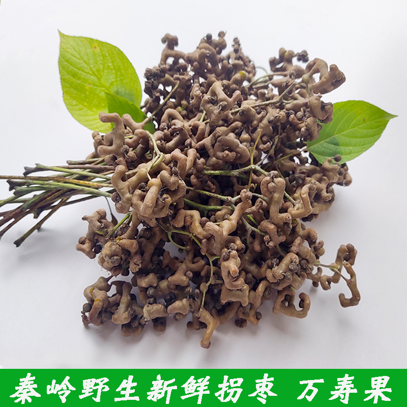 鸡爪梨新鲜万寿果秦岭中国药材