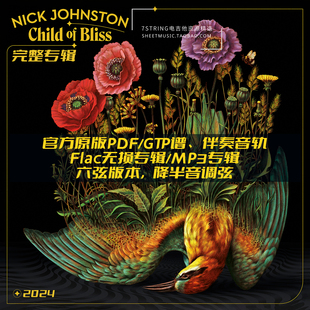 完整专辑 Nick Johnston Child of Bliss 电吉他 六弦版 官方谱伴