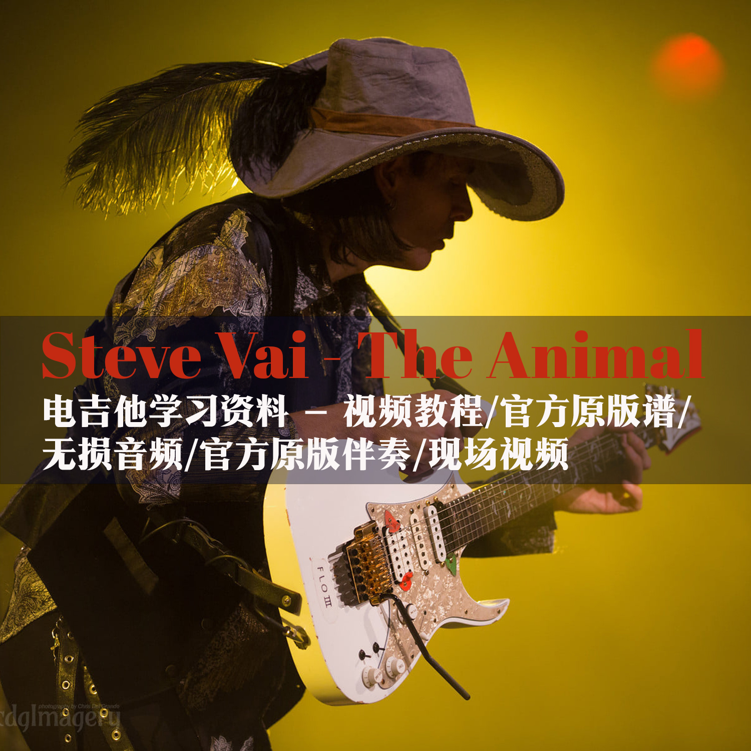 Steve Vai- The Animal电吉他教学官方原版PDF谱原版伴奏音视频-封面