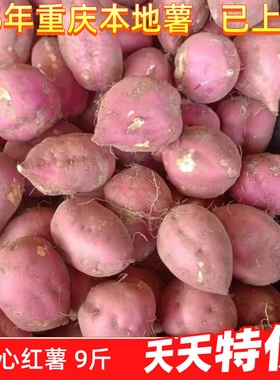 重庆红薯山芋助农地瓜红皮白心红薯新鲜干瓤粉红苕老板栗番薯9斤