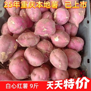 重庆红薯山芋助农地瓜红皮白心红薯新鲜干瓤粉红苕老板栗番薯9斤