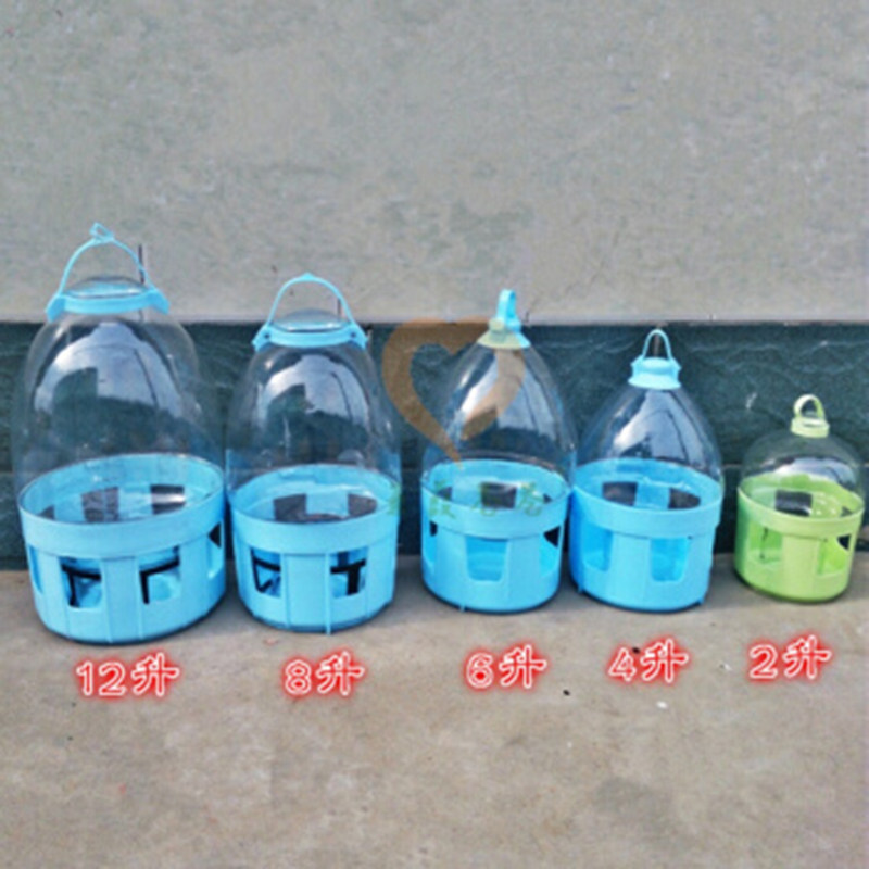 鸽具信鸽用品水壶鸽子饮水器鸟用