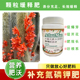 智利进口缓释肥适用家庭园艺绿植花卉通用肥多肉厚叶
