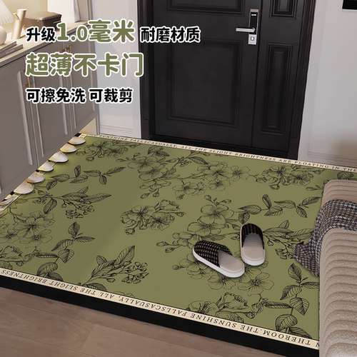 1mm超薄地垫薄款不卡门入户门门垫进门门口脚垫可擦免洗门槛地毯