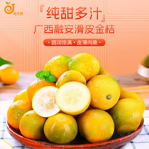 广西融安桔乐鲜金桔现摘小金柑桔