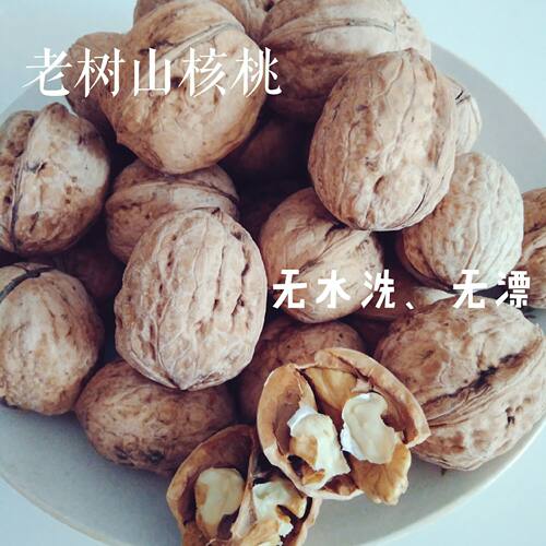 子午岭核桃多少钱 子午岭核桃价格 小麦优选