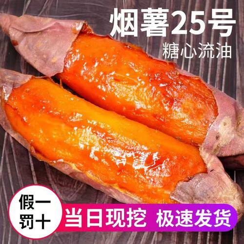 山东烟台烟薯25号新鲜自种