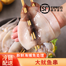 铁板大鱿鱼串烧烤串火锅油炸食材水产商用鲜活冷冻半成品海鲜20串