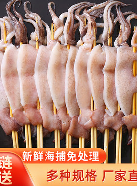 新鲜铁板鱿鱼串食材烧烤串烧烤串
