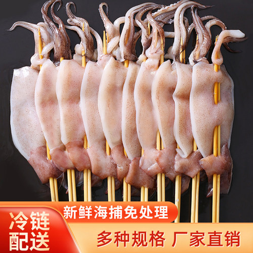 新鲜铁板鱿鱼串食材烧烤串烧烤串