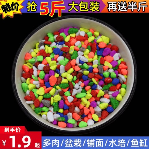 五彩石彩色石子鱼缸底砂造景盆栽多肉装铺面装饰沙染色石子小彩石