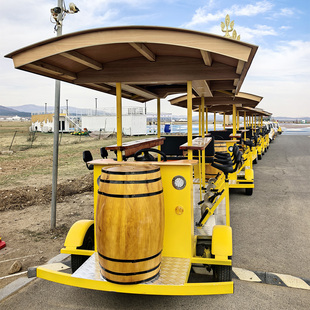 脚踏骑行观光自行车电动啤酒车景区新项目多功能酒吧车 bike beer
