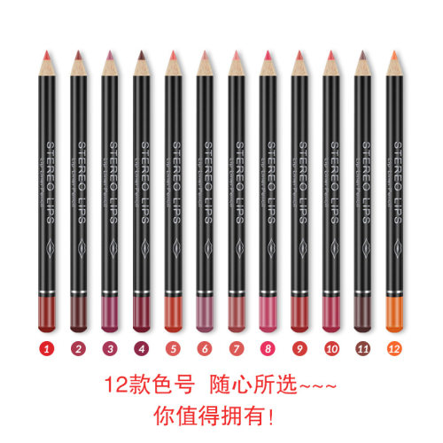 wish12色修饰爆款唇部口红笔外贸一套哑光防水vibely唇线笔速卖通
