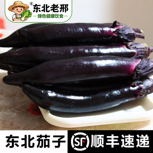 东北老邢当季现摘黑长茄子