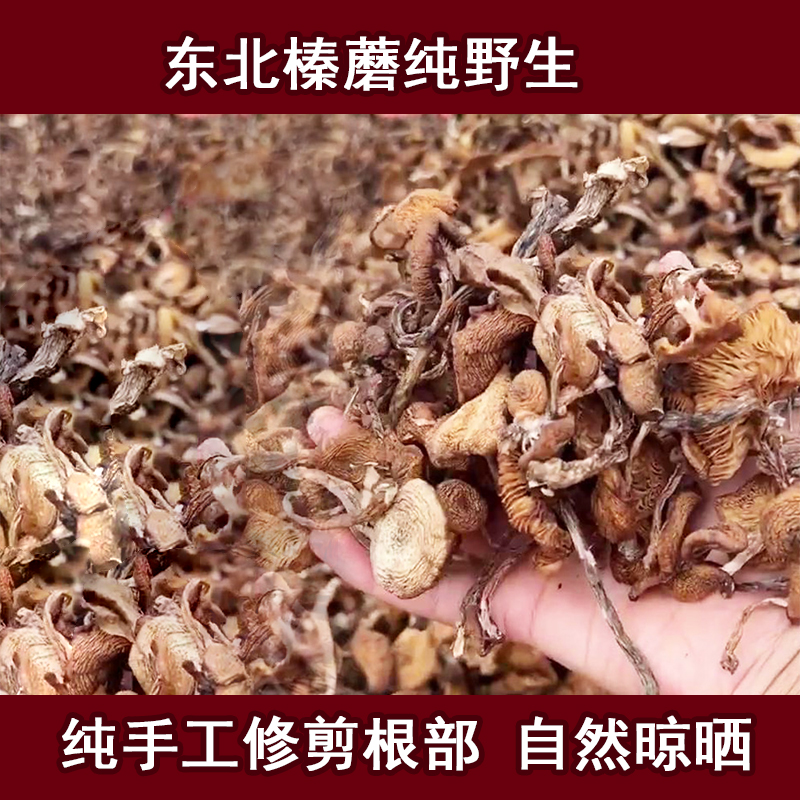 当季榛蘑东北野生蘑菇丁新货东北特产小鸡炖蘑菇