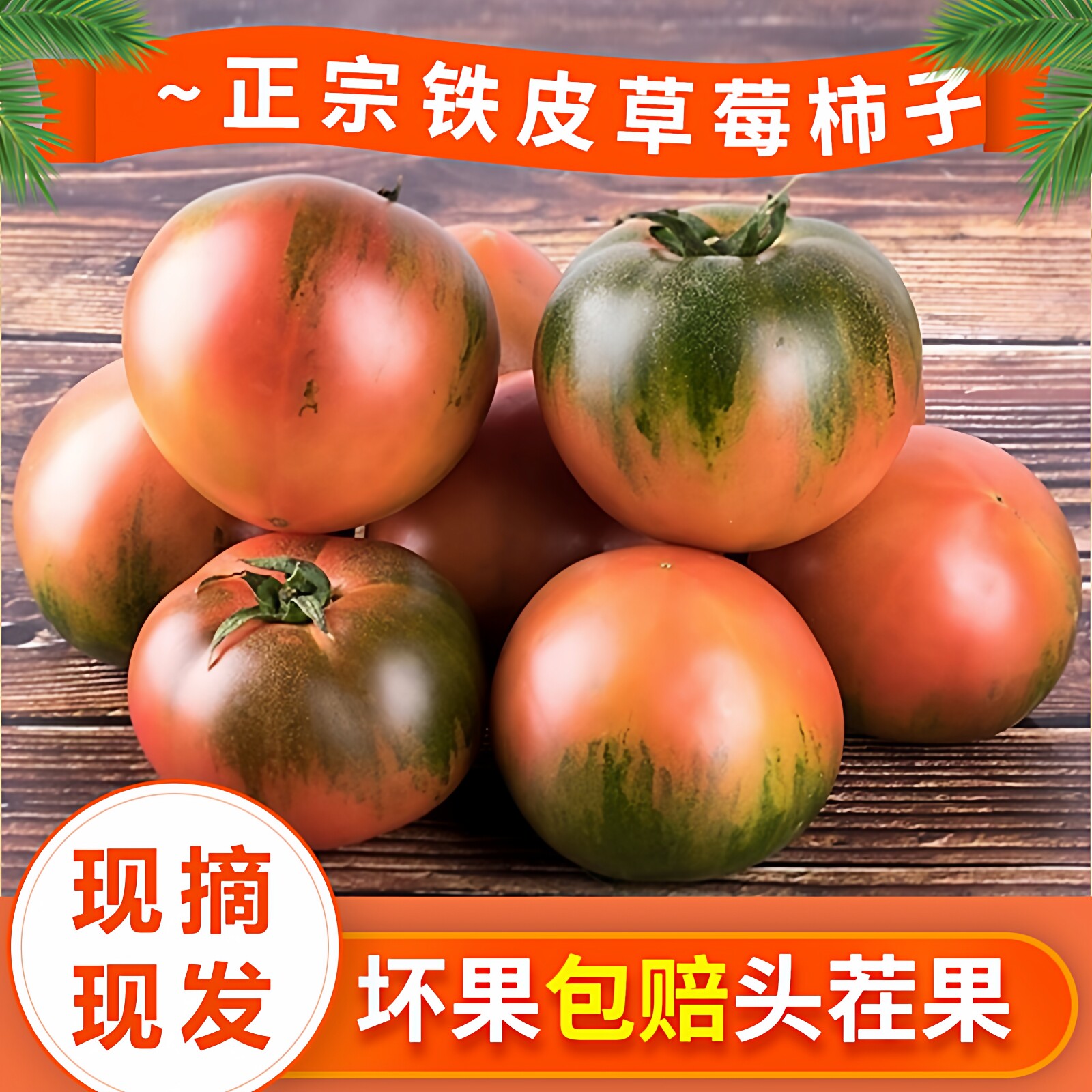 丹东铁皮草莓油柿子新鲜西红柿生吃小番茄东北碱地绿腚5斤顺丰包3
