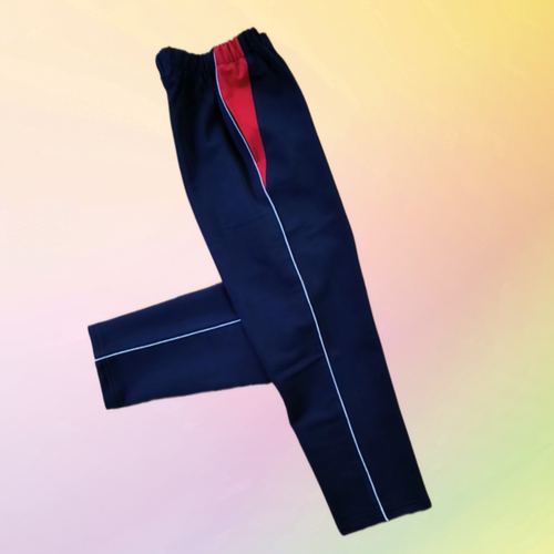 高中生藏青色春夏季加肥小学生直筒红三角一条白细条初中儿童校裤