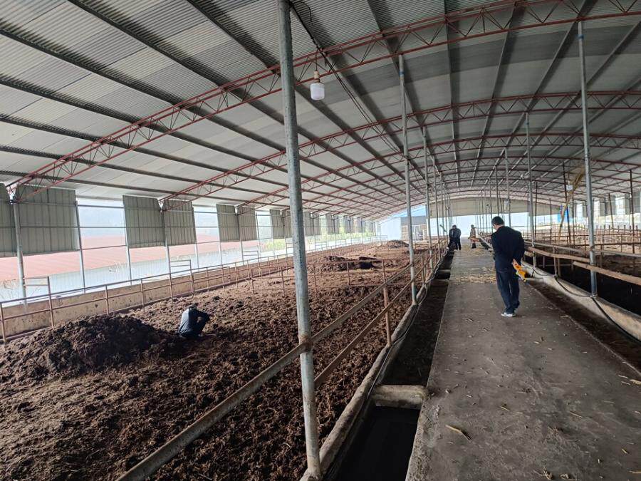 3月10日黔南一批牛粪肥网络拍卖公告