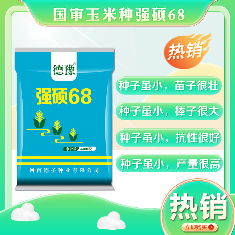 德圣致远原装强硕68高产大棒玉米种抗旱好丰收保证4400粒热卖 农用物资 粮油作物种子 原图主图