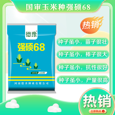 德圣致远原装强硕68高产大棒玉米种抗旱好丰收保证4400粒热卖