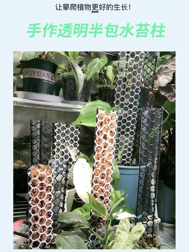 水苔柱植物攀爬龟背竹绿萝保湿棒