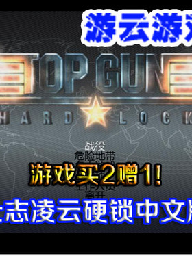 壮志凌云硬锁中文版模拟飞行驾驶射击pc单机游戏绿色版 2送1