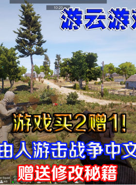 自由人游击战争中文版射击角色扮演pc单机游戏202版送修改法 2送1
