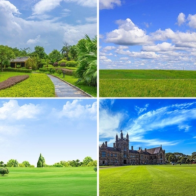 蓝天白云草原直播背景布绿地直播间背景墙装饰风景草甸抖音3d立体