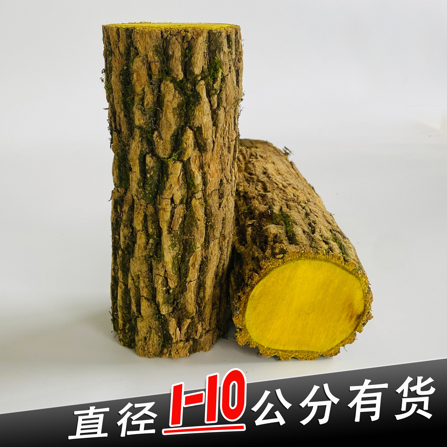 正宗野生十大功劳木整根可做手串 土黄莲 刺黄连老鼠刺黄柏中药材