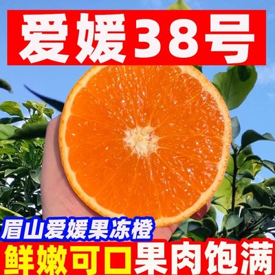 四川眉山正宗爱媛38号果冻橙现摘现发新鲜当季水果孕妇爆甜薄包邮