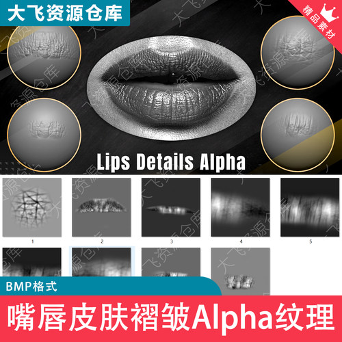 9款ZBrush嘴唇皮肤褶皱细节唇纹纹理Alpha贴图