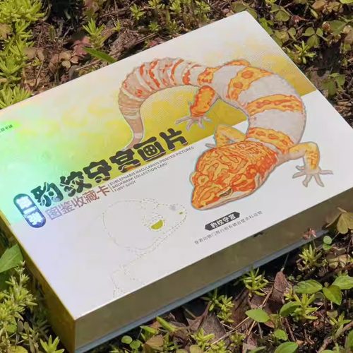 全宇宙首款爬宠基因介绍收藏卡