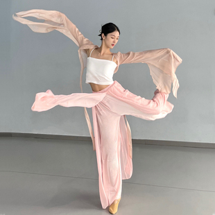 古典舞身韵纱衣飘逸雪纺古风舞蹈服女仙气中国舞练功服上衣秋天