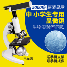 电子初中学小学生10000倍显微镜1