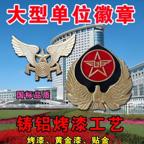 大型徽章金属立体门头岗亭救援徽章检查铸铝烤漆挂墙徽标管理司徽