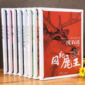 正版 儿童文学经典 14岁中学生 孤狼鹿王三四五六年级课外书籍读物中小学生阅读8 沈石溪动物小说全集系列全套8册