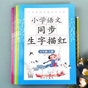 五年级上册练字帖每日一练天天课本练小学语文生字同步描红人教版 专用练习写字硬笔书法练字本贴儿童楷书米字格生字本练习