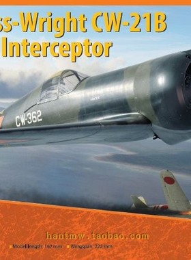 DW48046寇蒂斯怀特CW-21B战斗机1/48塑料拼装飞机模型
