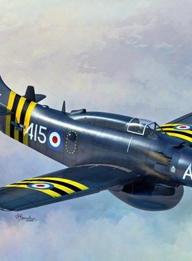 SWORD72126道格拉斯AD-4W/AEW.1天袭者舰载预警机1/72拼装模型