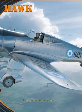 CLPR48003二战寇蒂斯H-75O战斗机1/48高精细节塑料拼飞机装模型