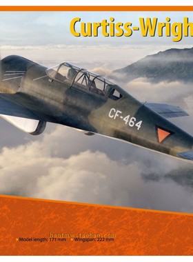 DW48036寇蒂斯怀特CW-22B战斗机1/48塑料拼装飞机模型