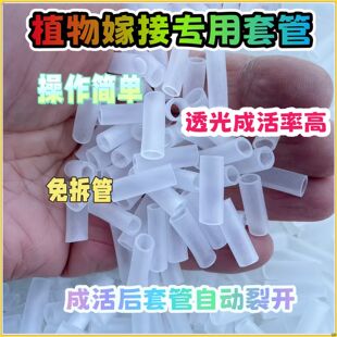果树花卉嫁接专用工具植物育苗对接口弹性透光硅胶管园丁农忙工具