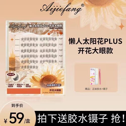 心愿先生懒人太阳花plus