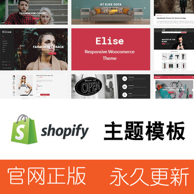 Shopify主题模板独立站网店外贸Dropshipping跨境电商Elise Theme
