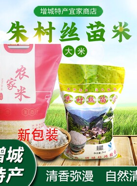 增城特产朱村丝苗米5KG大米一级籼米10斤装正宗农家自产新米包邮