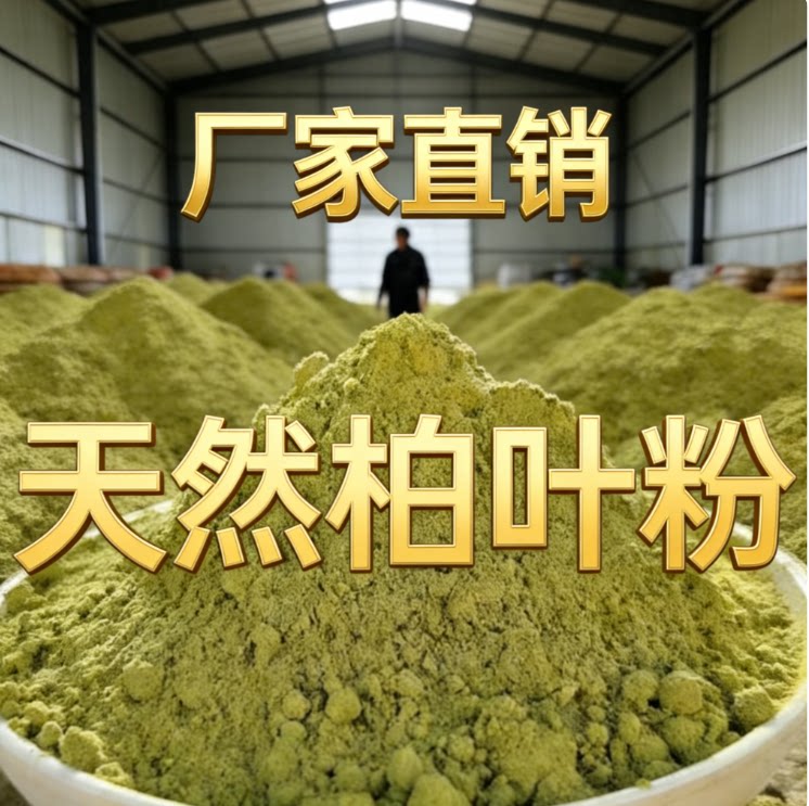 厂家直销天然柏叶粉香薰香料植物香粉散装纯野生侧柏粉高品质