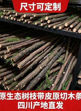 柏树棍柏树枝装饰摆件DIY手工