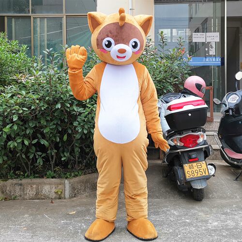 定制动漫幼儿园活动表演小浣熊卡通人偶布偶巡演出装扮道具衣服装