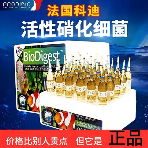 科迪硝化细菌原装正品