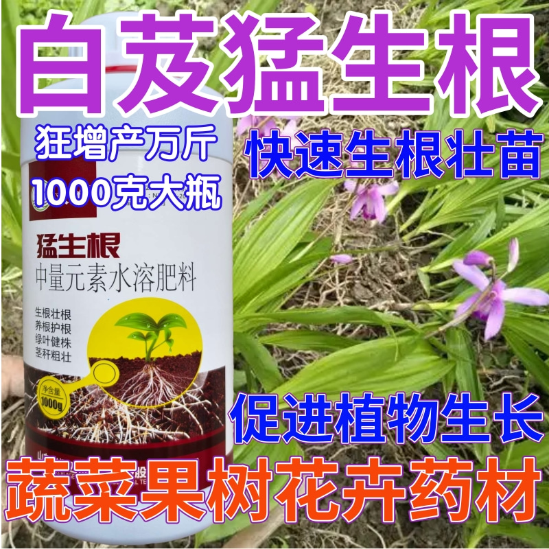 白芨猛生根生根壮苗剂果树蔬菜叶面肥狂生根生根液水溶肥料生根粉
